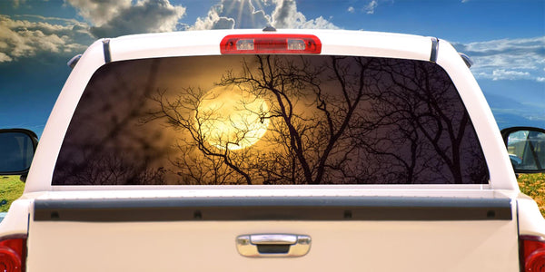 Full Moon Sky Rear Window Graphic Decal Sticker For Car Truck