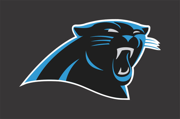 Carolina Panthers Decal  Car / Truck Vinyl Sticker Wall Graphics Cornholes