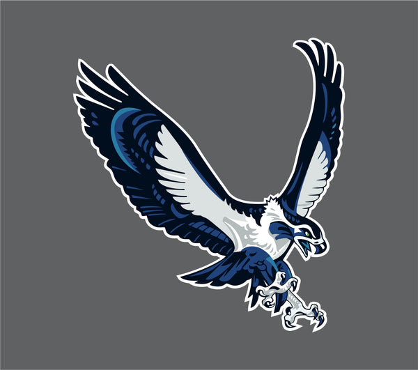 SEATTLE SEAHAWKS Decal Car Truck Window Wall Cornhole Vinyl Best Sticker Customize