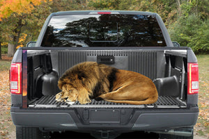 Lion Tailgate Wrap Vinyl Graphic Decal Sticker LAMINATED